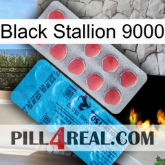 Black Stallion 9000 new14